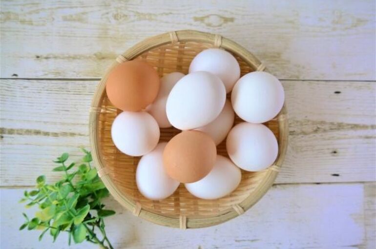 6ab65e3ae25afec5c8c6711d5be5abd9_s