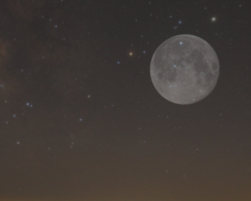 スクリーンショット 2020-05-07 0.07.32