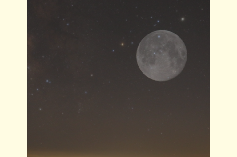 スクリーンショット 2020-05-07 0.07.32