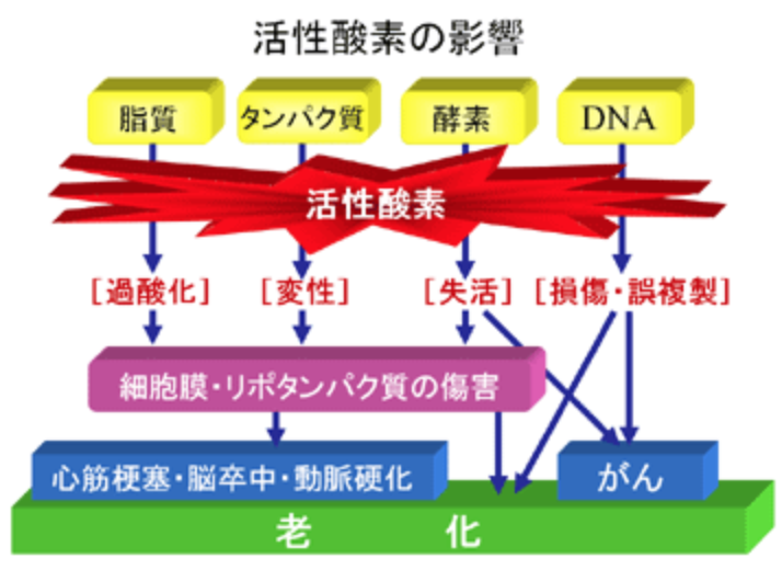 スクリーンショット 2019-08-01 10.02.50.png